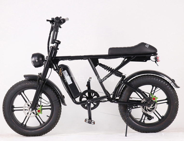 High Capacity 48V 10Ah Ebike Battery Pack